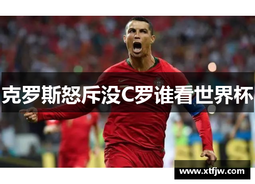 克罗斯怒斥没C罗谁看世界杯